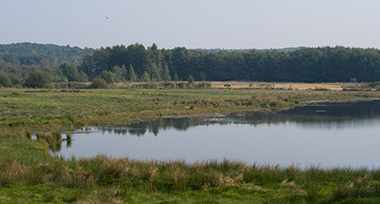 Plassen is de omgeving van Roermond