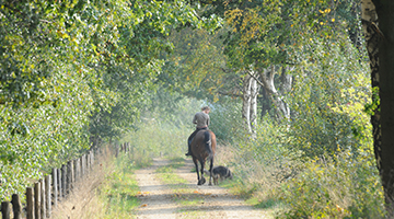 Paardrijden in de omgeving van Roermond