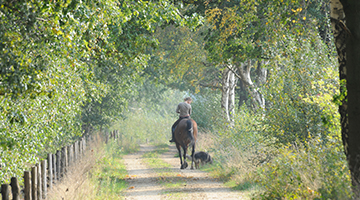 Plassen in de omgeving van Roermond