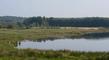 Nationalpark De Meinweg